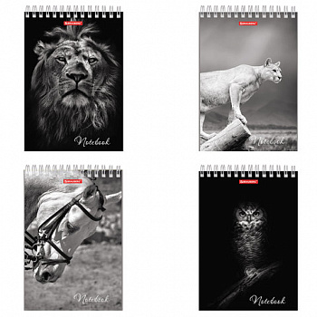 Блокнот А5 146х205 мм, 60 л., гребень, картон, жесткая подложка, клетка, BRAUBERG, "Животные"