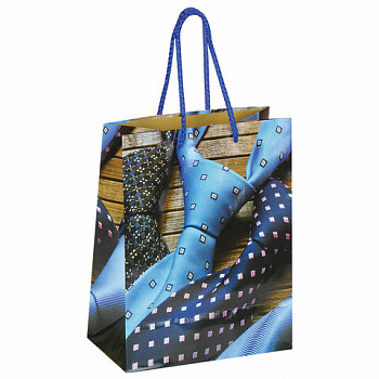 Пакет подарочный (1 штука) 18x10x23 см, ЗОЛОТАЯ СКАЗКА "Галстуки", ламинированный