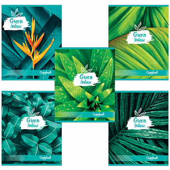 Тетрадь А5, 48 л., BRAUBERG скоба, клетка, обложка картон, GREEN NATURE