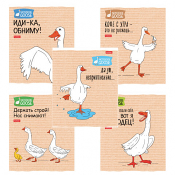 Тетрадь А5 48 л., HATBER скоба, клетка, обложка картон, "Гусь - веселюсь_Выпуск №2" (микс), 078789, 48Т5В1