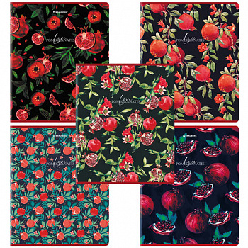 Тетрадь А5, 48 л., BRAUBERG, скоба, клетка, матовая ламинация, выборочный лак, "Гранаты" (микс в спайке)