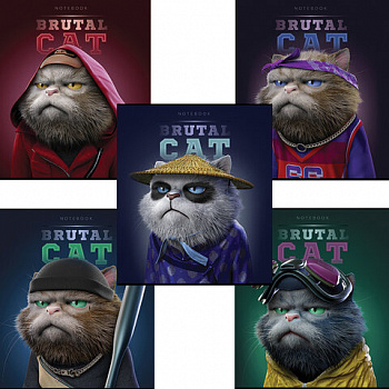 Тетрадь А5 48 л., ПЗБМ, скоба, клетка, конгрев, TWIN-лак, "Брутальные коты" (5 видов)