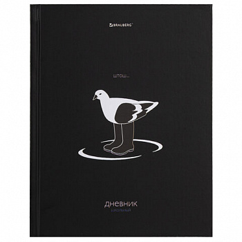 Дневник 5-11 класс 48 л., твердый, BRAUBERG, матовая ламинация, с подсказом, "Штош"