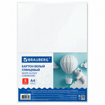 Картон белый А4 МЕЛОВАННЫЙ (белый оборот) 5 листов, BRAUBERG, 200х290 мм